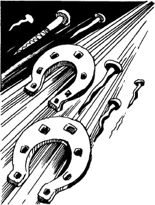 Иллюстрация к книге — Когда зацветет папоротник. Злая ведьма Варвара [_27.jpg]