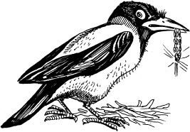 Иллюстрация к книге — Когда зацветет папоротник. Злая ведьма Варвара [_28.jpg]