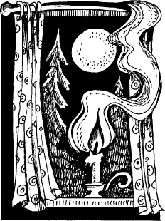 Иллюстрация к книге — Когда зацветет папоротник. Злая ведьма Варвара [_39.jpg]