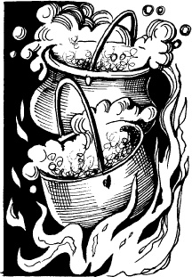 Иллюстрация к книге — Когда зацветет папоротник. Злая ведьма Варвара [_41.jpg]