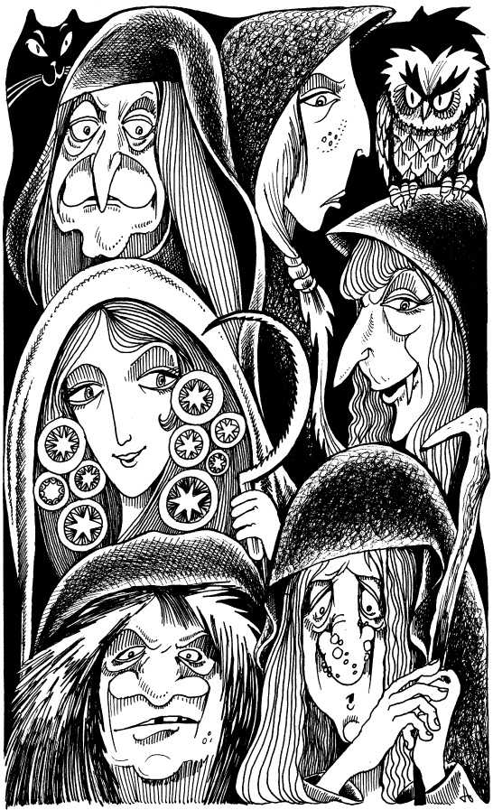 Иллюстрация к книге — Когда зацветет папоротник. Злая ведьма Варвара [_55.jpg]