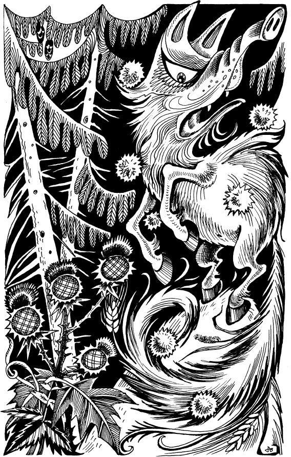 Иллюстрация к книге — Когда зацветет папоротник. Злая ведьма Варвара [_64.jpg]