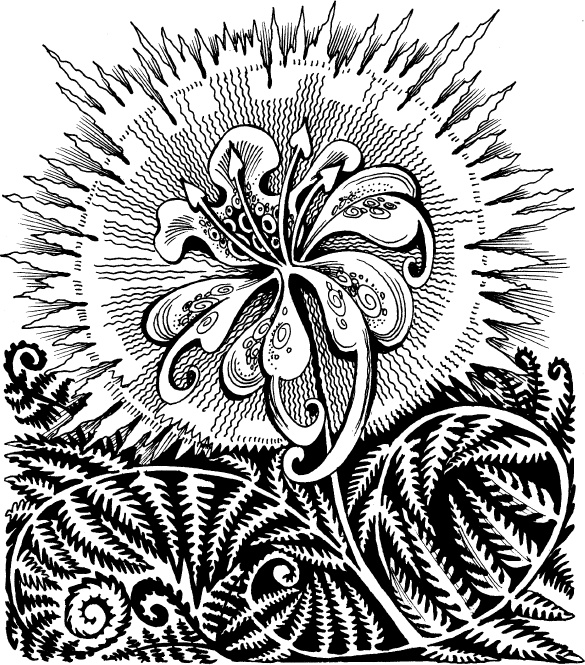 Иллюстрация к книге — Когда зацветет папоротник. Злая ведьма Варвара [_72.jpg]