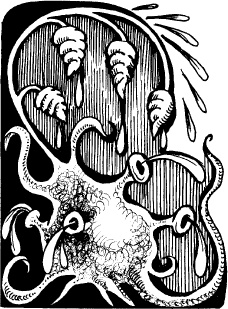 Иллюстрация к книге — Когда зацветет папоротник. Злая ведьма Варвара [_75.jpg]