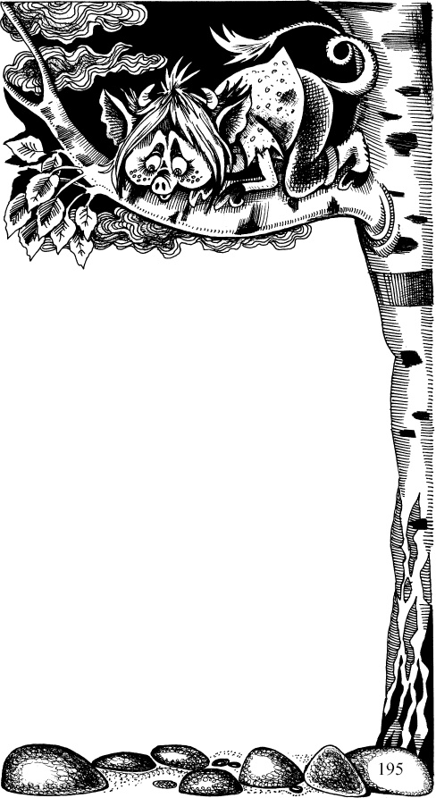 Иллюстрация к книге — Когда зацветет папоротник. Злая ведьма Варвара [_81.jpg]