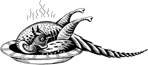 Иллюстрация к книге — Когда зацветет папоротник. Злая ведьма Варвара [_84.jpg]