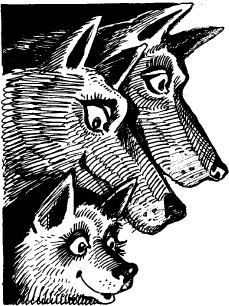 Иллюстрация к книге — Когда зацветет папоротник. Злая ведьма Варвара [_88.jpg]