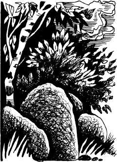 Иллюстрация к книге — Волшебная мельница. Злая ведьма Варвара [_149.jpg]