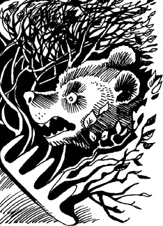 Иллюстрация к книге — Волшебная мельница. Злая ведьма Варвара [_15.jpg]