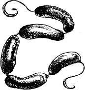 Иллюстрация к книге — Волшебная мельница. Злая ведьма Варвара [_162.jpg]