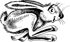 Иллюстрация к книге — Волшебная мельница. Злая ведьма Варвара [_166.jpg]