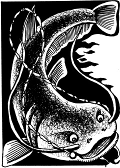 Иллюстрация к книге — Волшебная мельница. Злая ведьма Варвара [_56.jpg]