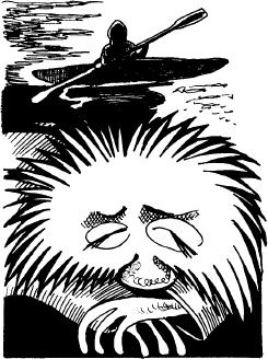 Иллюстрация к книге — Волшебная мельница. Злая ведьма Варвара [_61.jpg]