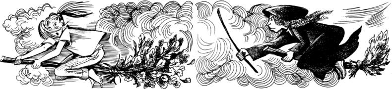 Иллюстрация к книге — Волшебная мельница. Злая ведьма Варвара [_71.jpg]