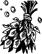 Иллюстрация к книге — Волшебная мельница. Злая ведьма Варвара [_75.jpg]