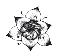 Иллюстрация к книге — Медитации на каждый день. Раскрытие внутренних способностей [i_040.jpg]