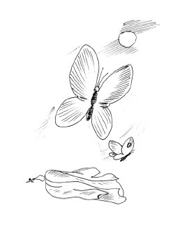 Иллюстрация к книге — Медитации на каждый день. Раскрытие внутренних способностей [i_060.jpg]