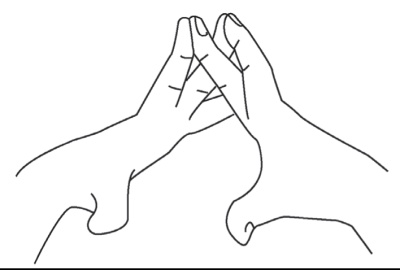 Иллюстрация к книге — Исцеляющая сила мудр. Здоровье на кончиках пальцев [i_002.jpg]