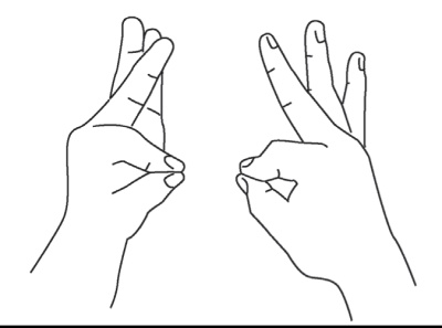 Иллюстрация к книге — Исцеляющая сила мудр. Здоровье на кончиках пальцев [i_003.jpg]