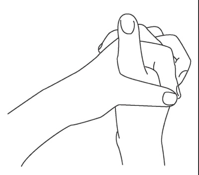 Иллюстрация к книге — Исцеляющая сила мудр. Здоровье на кончиках пальцев [i_006.jpg]