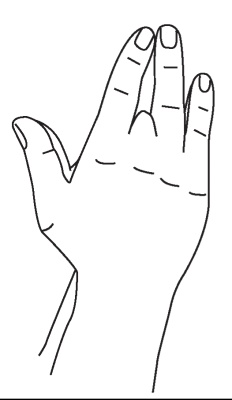 Иллюстрация к книге — Исцеляющая сила мудр. Здоровье на кончиках пальцев [i_013.jpg]