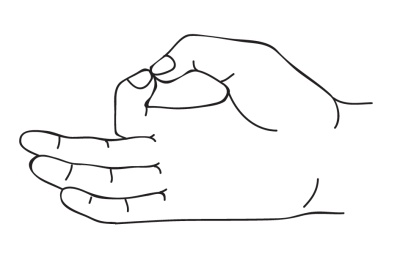 Иллюстрация к книге — Исцеляющая сила мудр. Здоровье на кончиках пальцев [i_040.jpg]