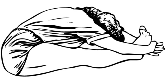 Иллюстрация к книге — 5 минут йоги не вставая с кровати. Для каждой женщины в любом возрасте [i_014.jpg]