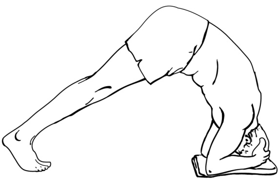 Иллюстрация к книге — 5 минут йоги не вставая с кровати. Для каждой женщины в любом возрасте [i_016.jpg]