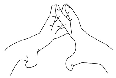 Иллюстрация к книге — 5 минут йоги не вставая с кровати. Для каждой женщины в любом возрасте [i_056.jpg]