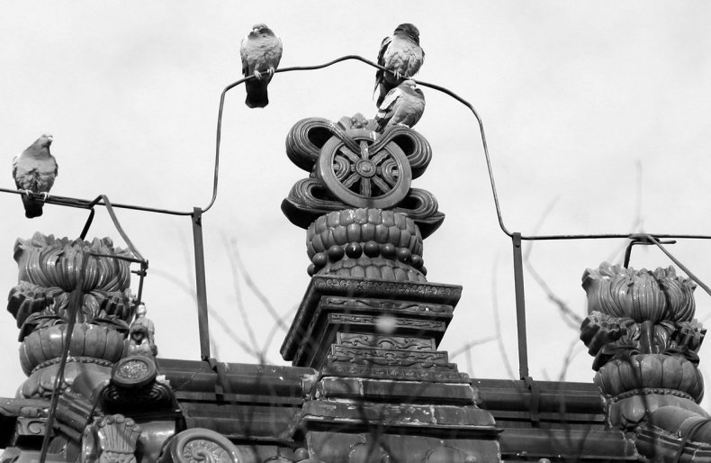 Иллюстрация к книге — Как было на самом деле. Последний путь святого семейства [i_032.jpg]