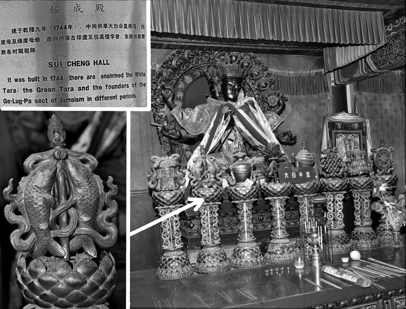 Иллюстрация к книге — Как было на самом деле. Последний путь святого семейства [i_093.jpg]