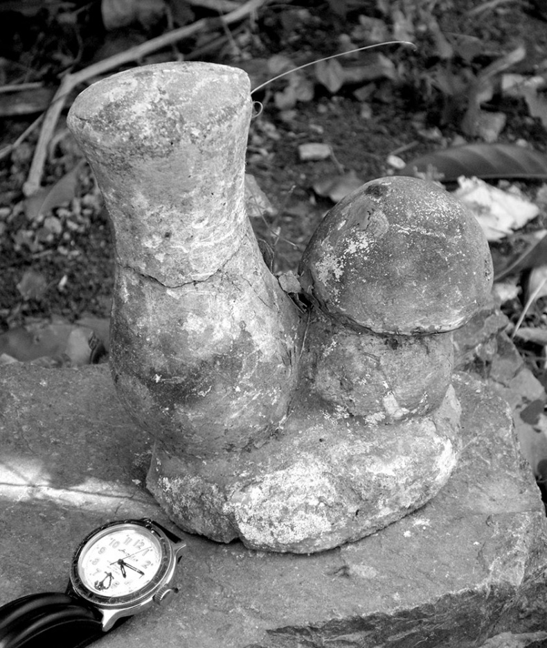 Иллюстрация к книге — Как было на самом деле. Последний путь святого семейства [i_192.jpg]