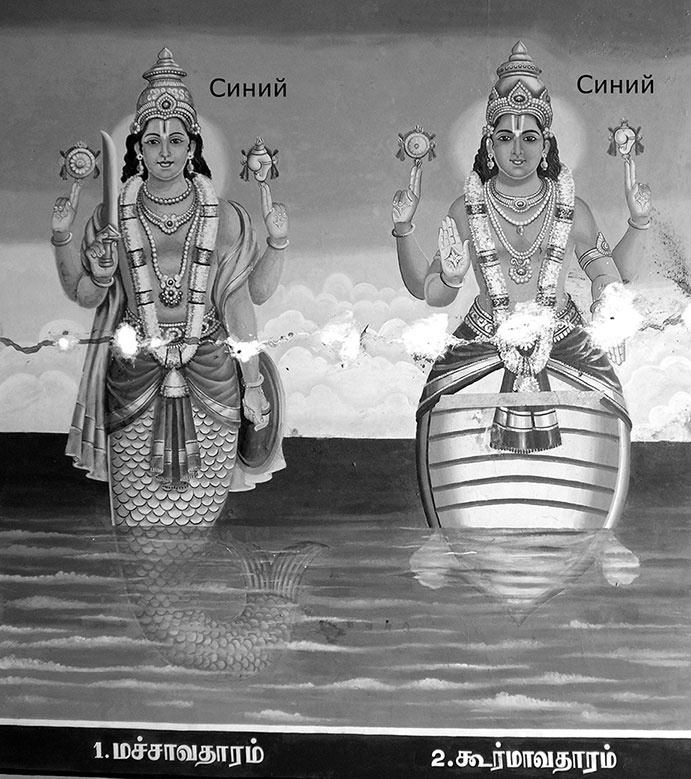 Иллюстрация к книге — Как было на самом деле. Последний путь святого семейства [i_253.jpg]