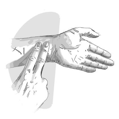 Иллюстрация к книге — Я больше не курю! [i_005.jpg]