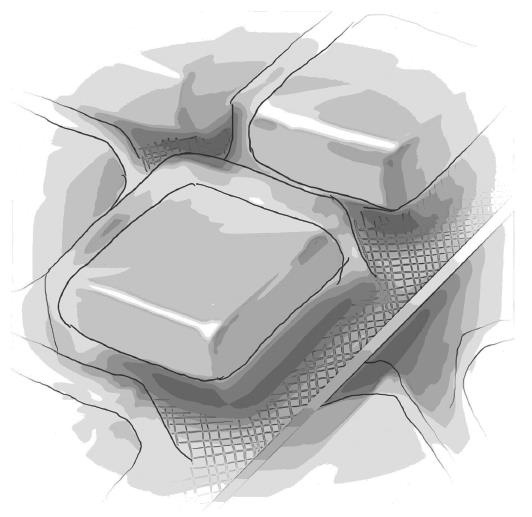 Иллюстрация к книге — Я больше не курю! [i_022.jpg]