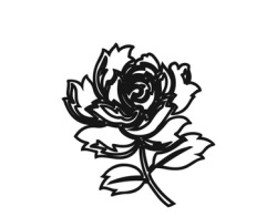 Иллюстрация к книге — Исцели свое сердце! [i_010.jpg]