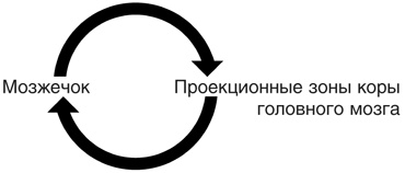 Иллюстрация к книге — Включите свою рабочую память на полную мощь [i_030.jpg]