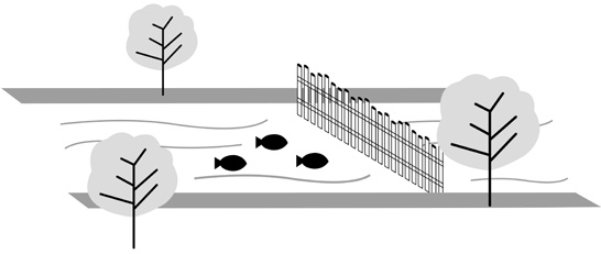 Иллюстрация к книге — Включите свою рабочую память на полную мощь [i_046.jpg]