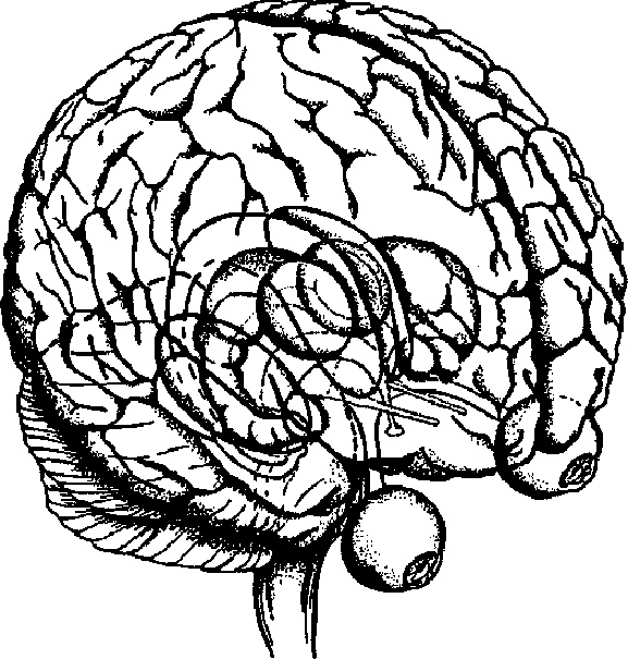Иллюстрация к книге — Научите себя думать [img_1.jpg]