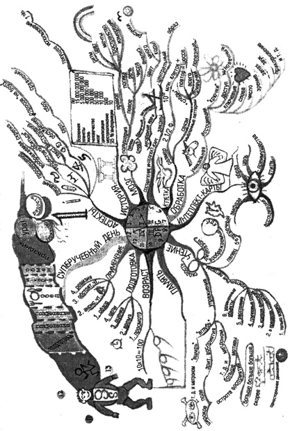 Иллюстрация к книге — Супермышление [pic_35.jpg]