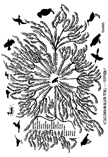 Иллюстрация к книге — Супермышление [pic_42.jpg]