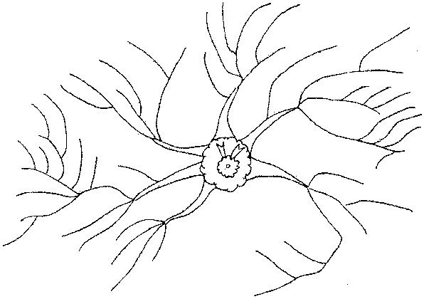 Иллюстрация к книге — Супермышление [pic_48.jpg]