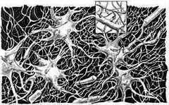 Иллюстрация к книге — Супермышление [pict_1.jpg]