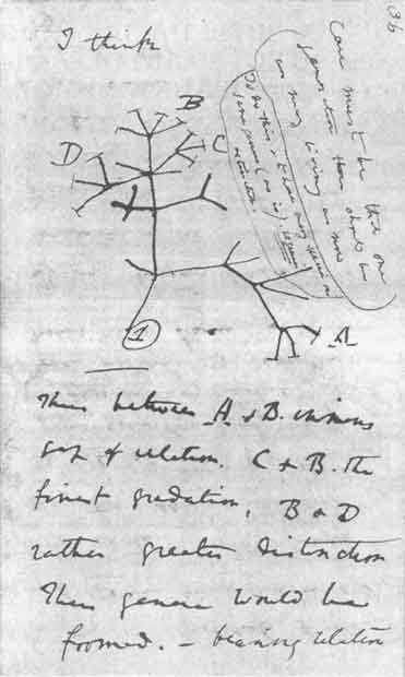 Иллюстрация к книге — Супермышление [sign_q.jpg]