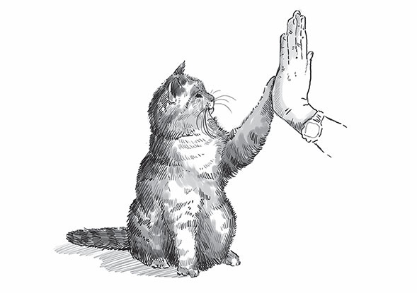 Иллюстрация к книге — Кот Боб. Во имя любви [i_015.jpg]