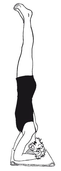 Иллюстрация к книге — Научная йога. Демистификация [Autogen_eBook_id0.jpg]