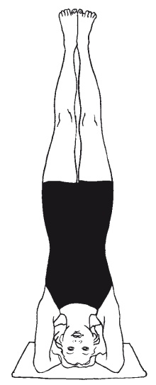 Иллюстрация к книге — Научная йога. Демистификация [Autogen_eBook_id1.jpg]