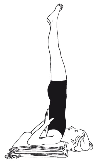 Иллюстрация к книге — Научная йога. Демистификация [Autogen_eBook_id10.jpg]