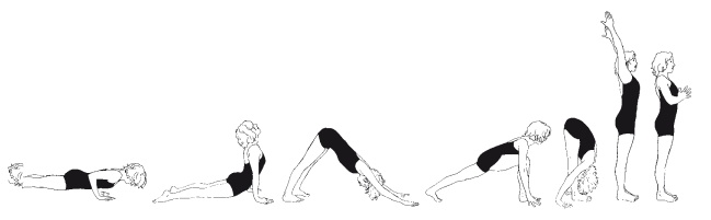 Иллюстрация к книге — Научная йога. Демистификация [Autogen_eBook_id6.jpg]