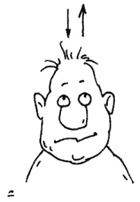 Иллюстрация к книге — Большая книга о новой жизни, которую никогда не поздно начать [_032.jpg]